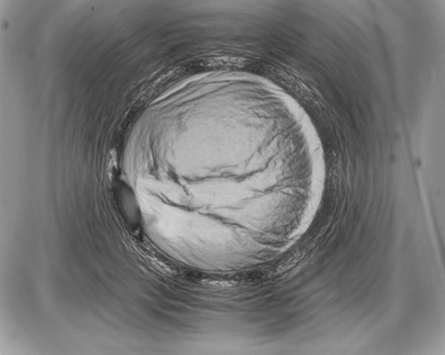 X0000085750649200704131712