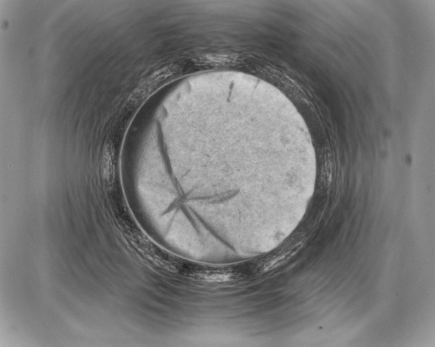 X0000085750651200704131712