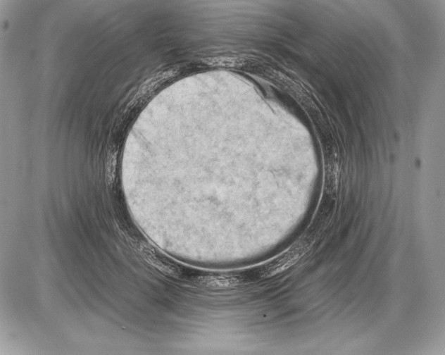 X0000085750652200704131712