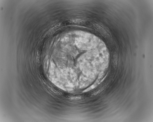 X0000085750653200704131712