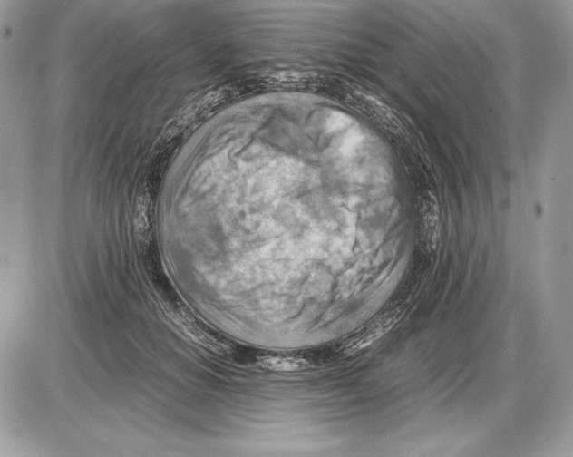 X0000085750654200704131712