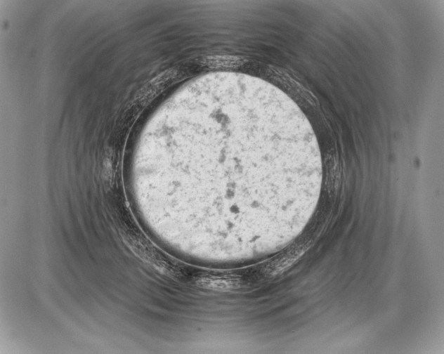 X0000085750655200704131712