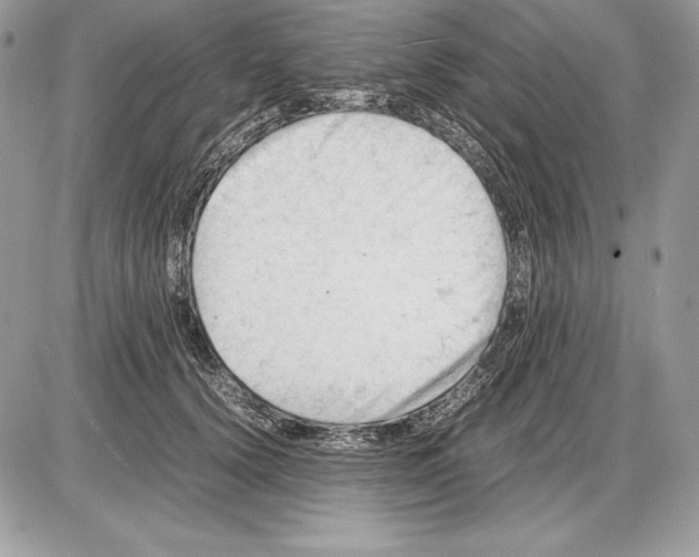 X0000085750656200704131712