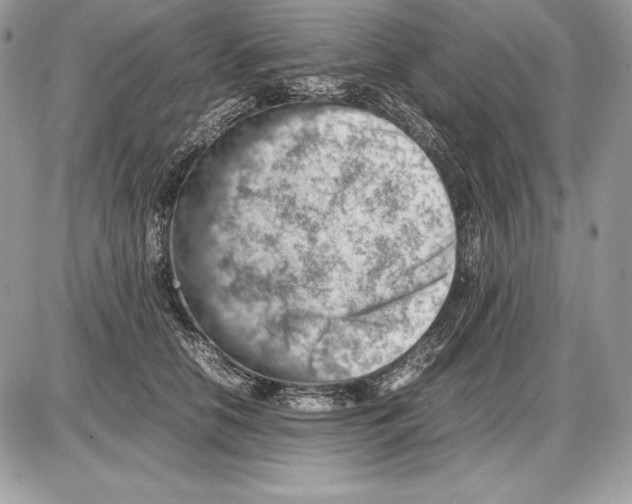 X0000085750658200704131712