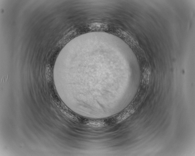 X0000085750659200704131712