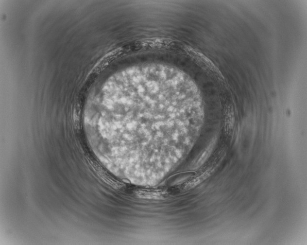 X0000085750661200704131712