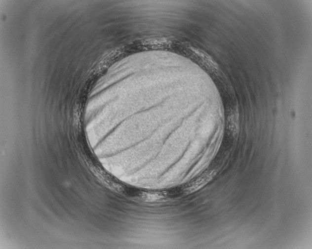 X0000085750662200704131713