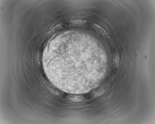 X0000085750663200704131713