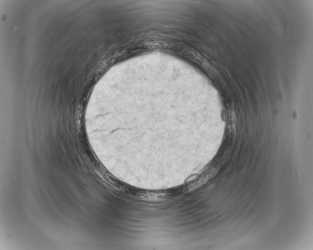 X0000085750664200704131713