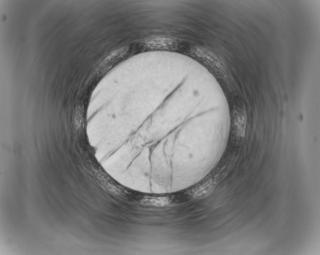 X0000085750665200704131713