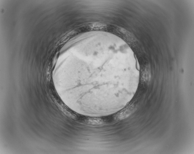 X0000085750666200704131713