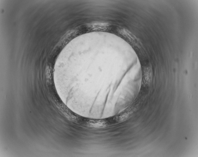 X0000085750667200704131713