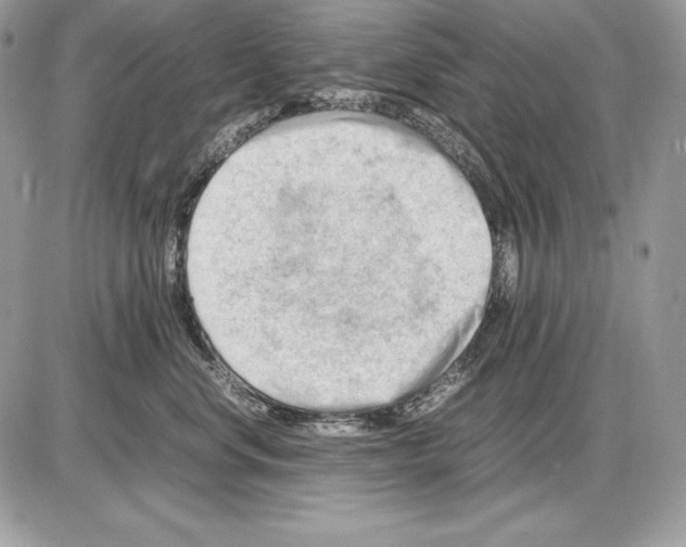 X0000085750668200704131713