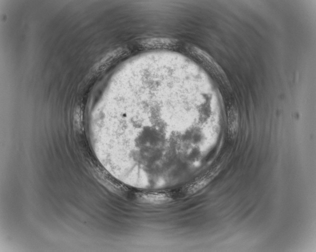 X0000085750669200704131713