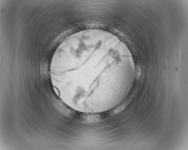 X0000085750670200704131713