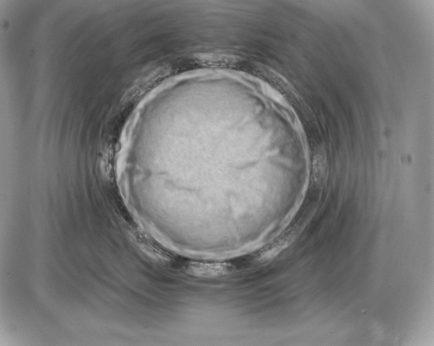 X0000085750671200704131713