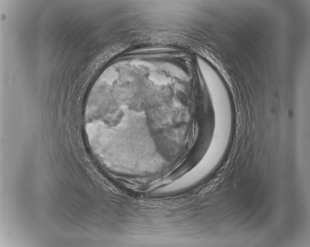 X0000085750673200704131712