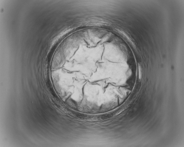 X0000085750675200704131712