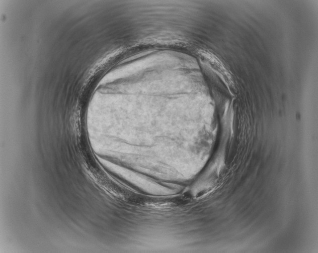 X0000085750680200704131712