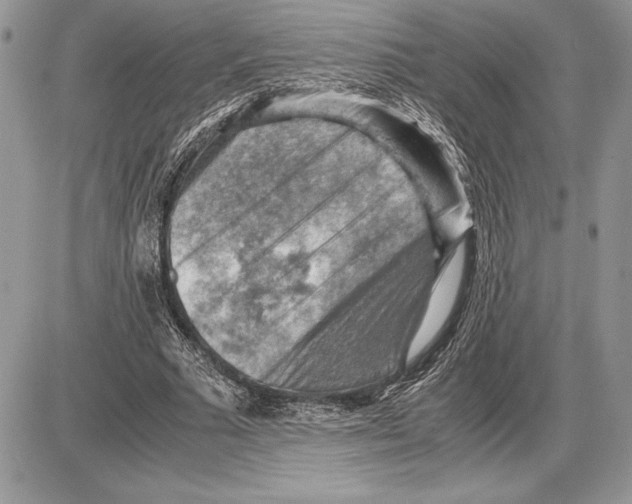 X0000085750681200704131712