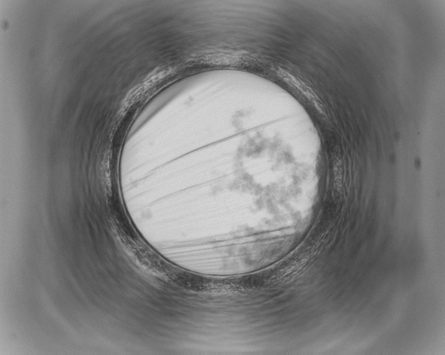 X0000085750682200704131712