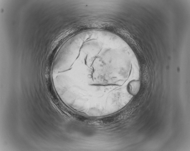 X0000085750683200704131712