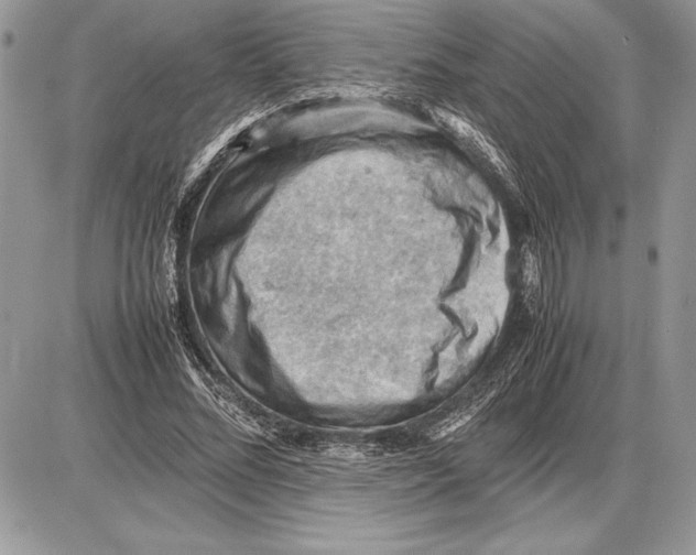 X0000085750684200704131712