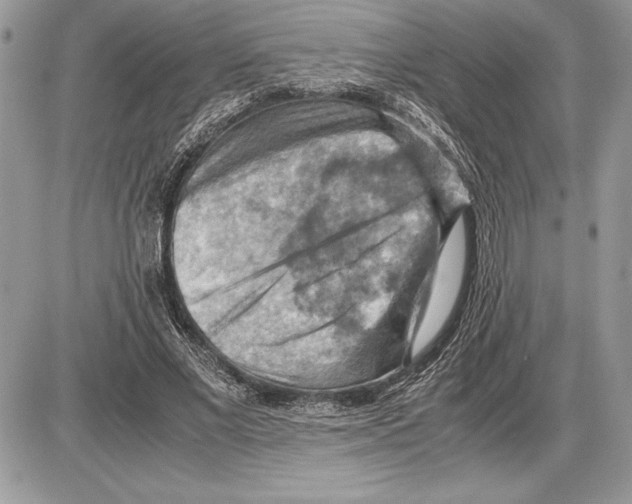 X0000085750685200704131712