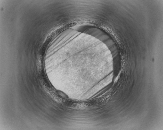 X0000085750688200704131712