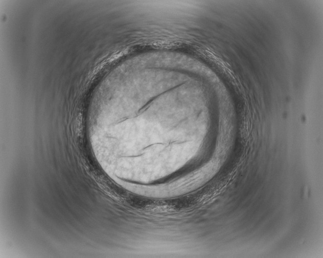 X0000085750689200704131712