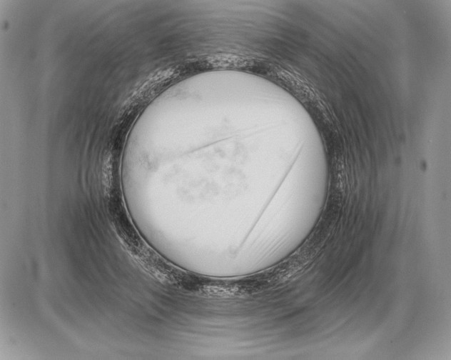 X0000085750690200704131712