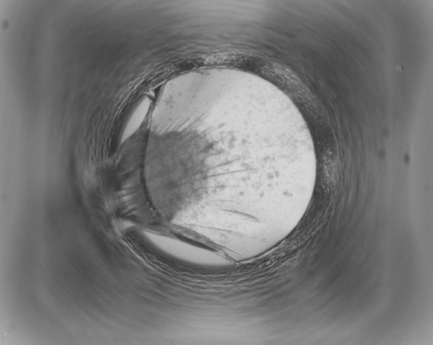 X0000085750691200704131712