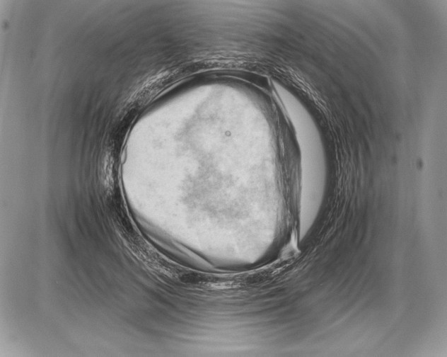 X0000085750692200704131711