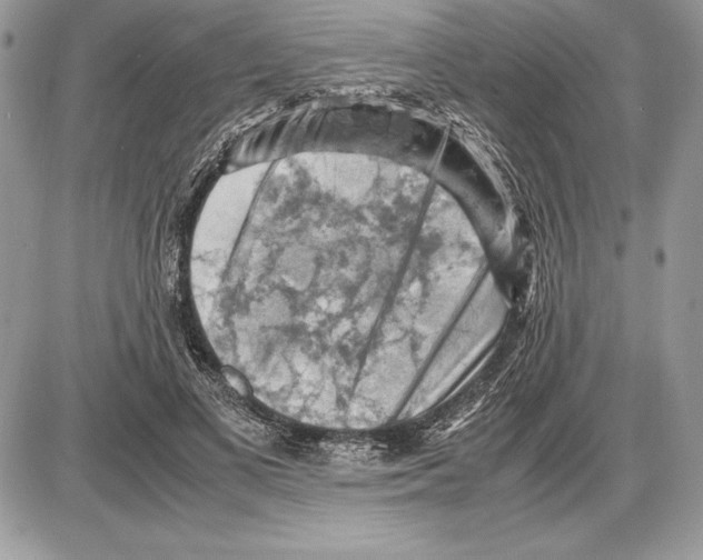 X0000085750693200704131711