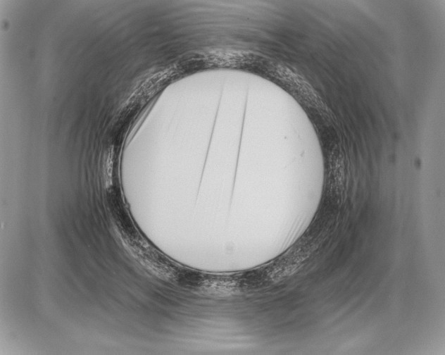 X0000085750694200704131711