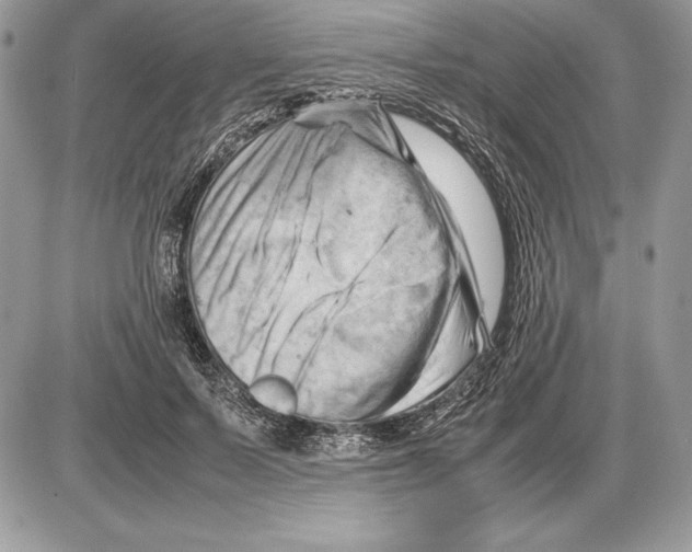 X0000085750695200704131711