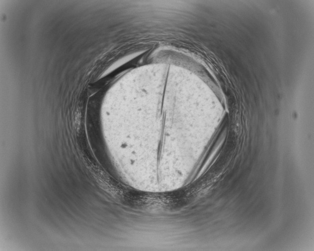 X0000085750697200704131711