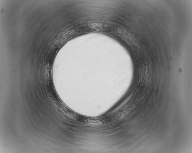 X0000085750702200704131711