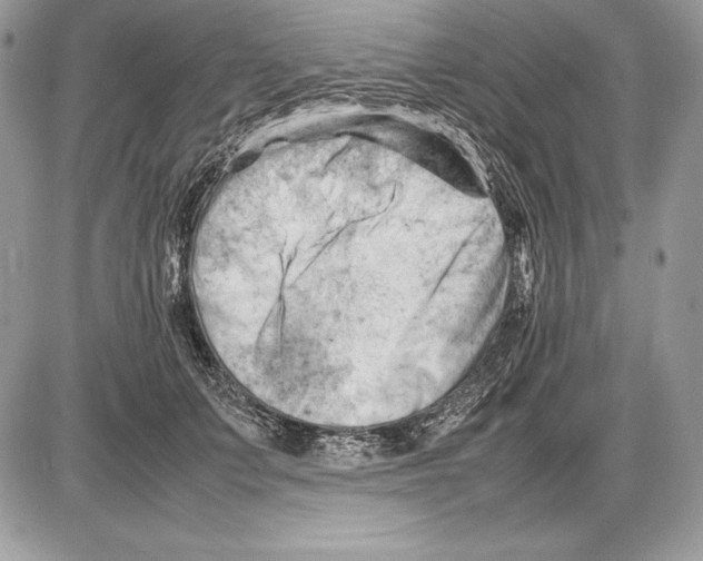 X0000085750703200704131711