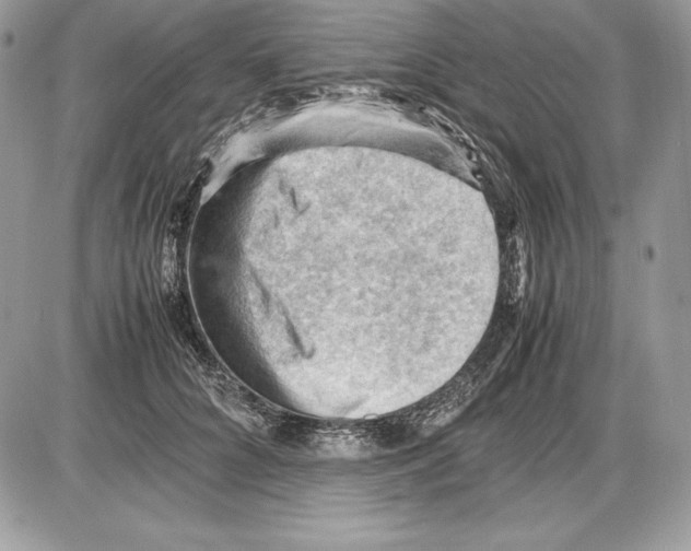 X0000085750704200704131711