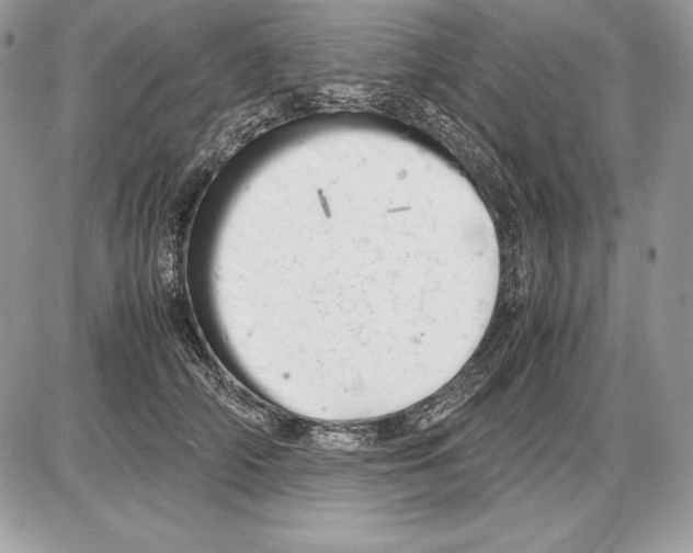 X0000085750706200704131711