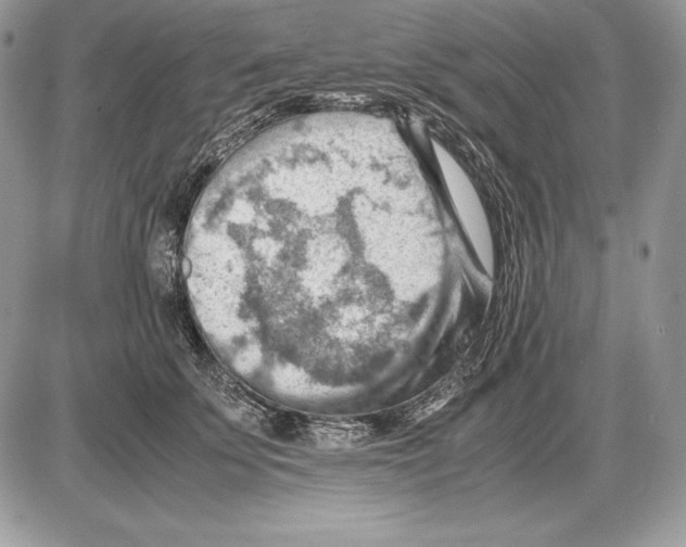 X0000085750707200704131711