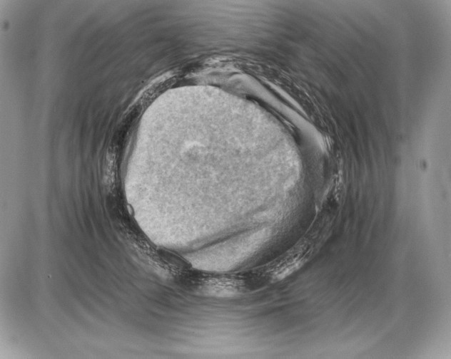 X0000085750708200704131711