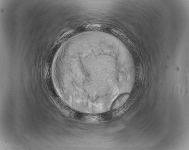 X0000085750711200704131711