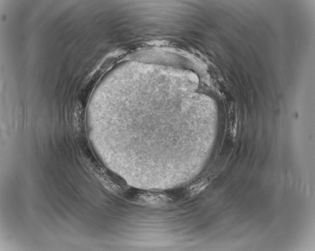 X0000085750712200704131711