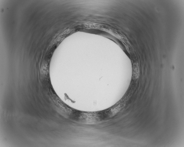 X0000085750713200704131711