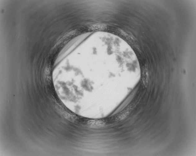 X0000085750714200704131711