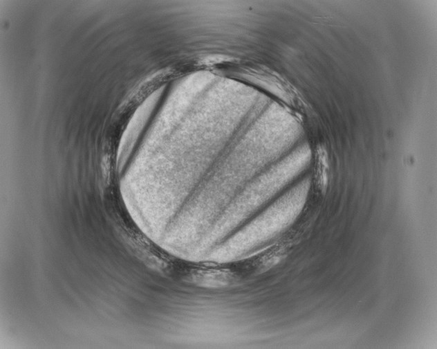 X0000085750716200704131711