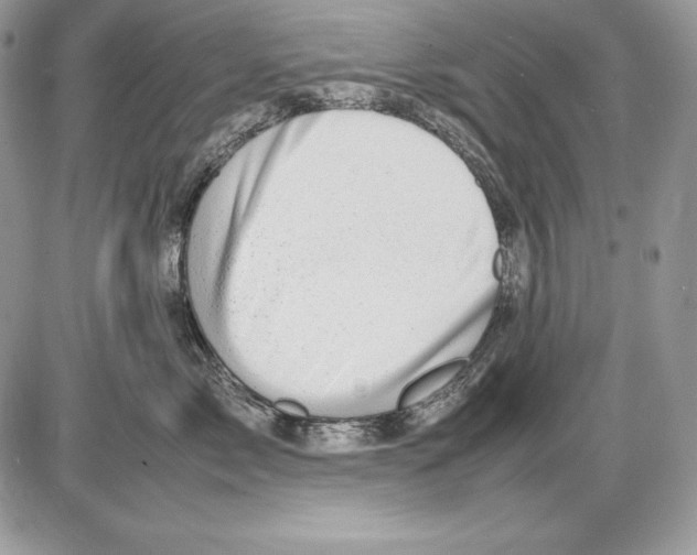 X0000085750717200704131711