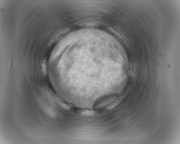 X0000085750718200704131711